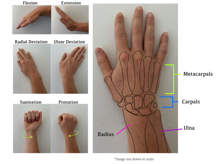 Wrist Strengthening, Rehab for Climbers - Climbing