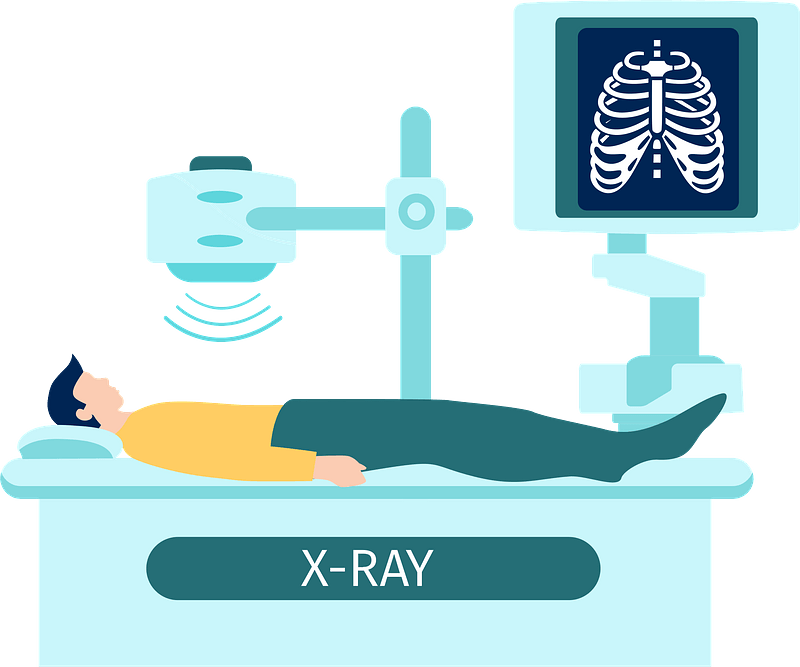 X Ray - Free vector clipart images on clipart library.com