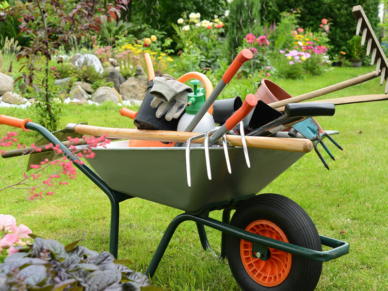 Yard work clearance