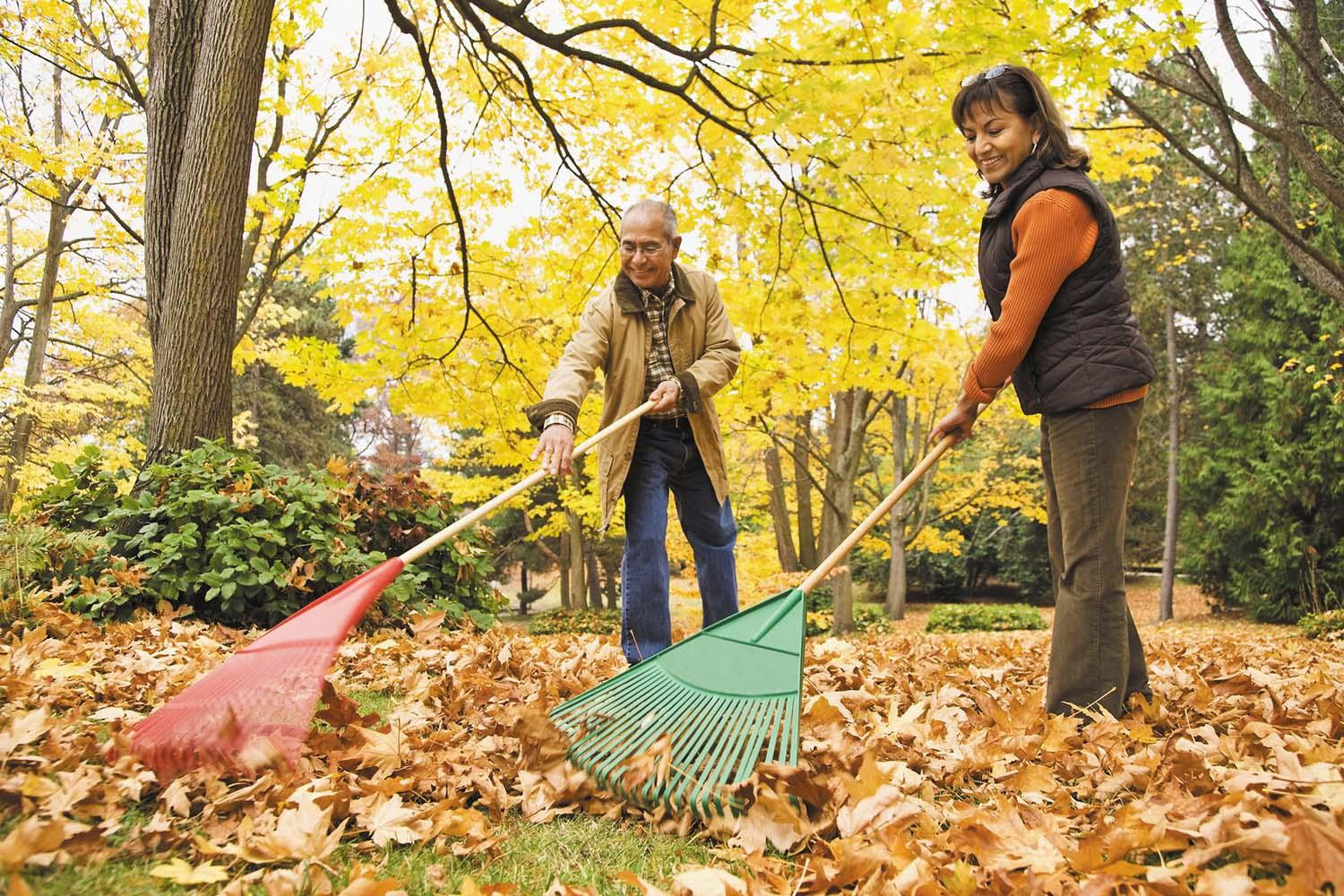 Gardening and yard work: Exercise with a purpose - Harvard Health