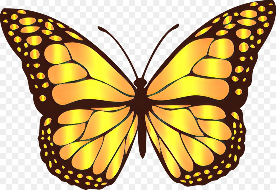 yellow butterfly clipart