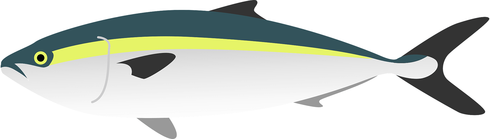 yellow tail cliparts