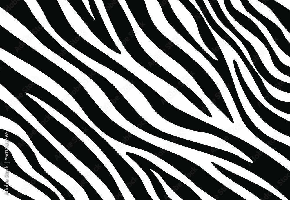 Zebra fur pattern background Stock-Vektorgrafik | Adobe Stock