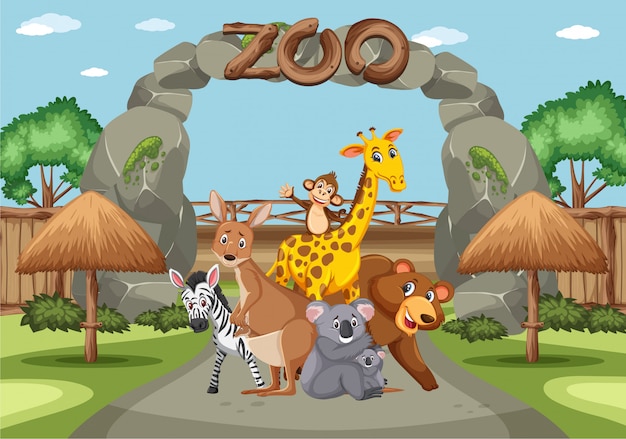zoo cartoon images