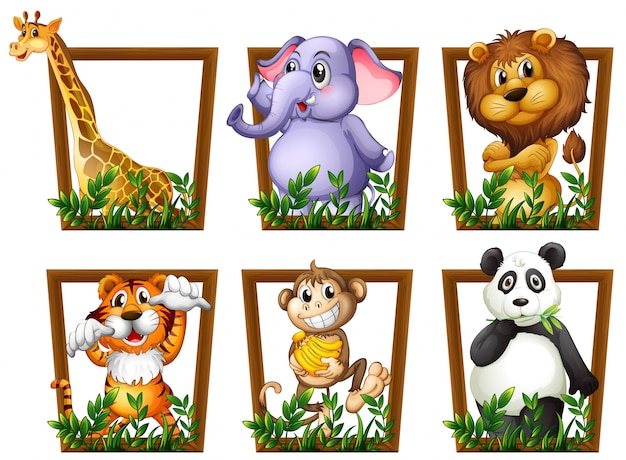 Page 15 | Zoo Toy Images - Free Download on clipart library