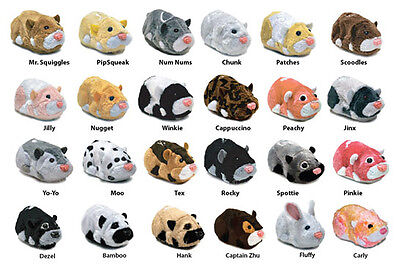 zsu zsu pets