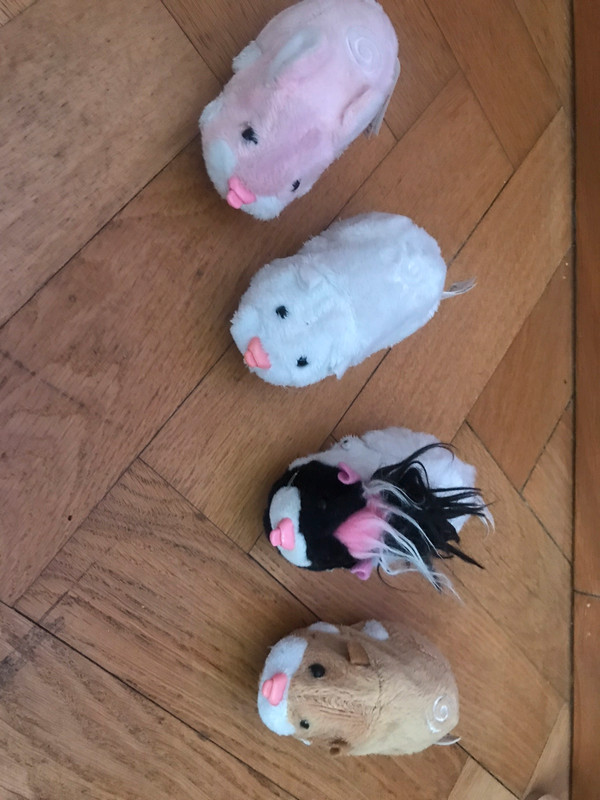 Zhu Zhu pets