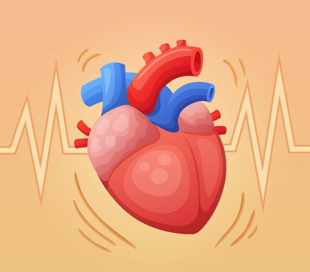 Beating Human Heart Illustration with EKG Line Background
