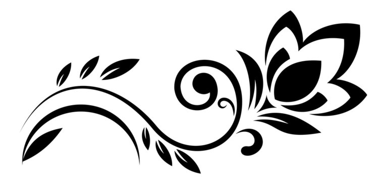 Elegant Black and White Floral Vine Ornament Clipart