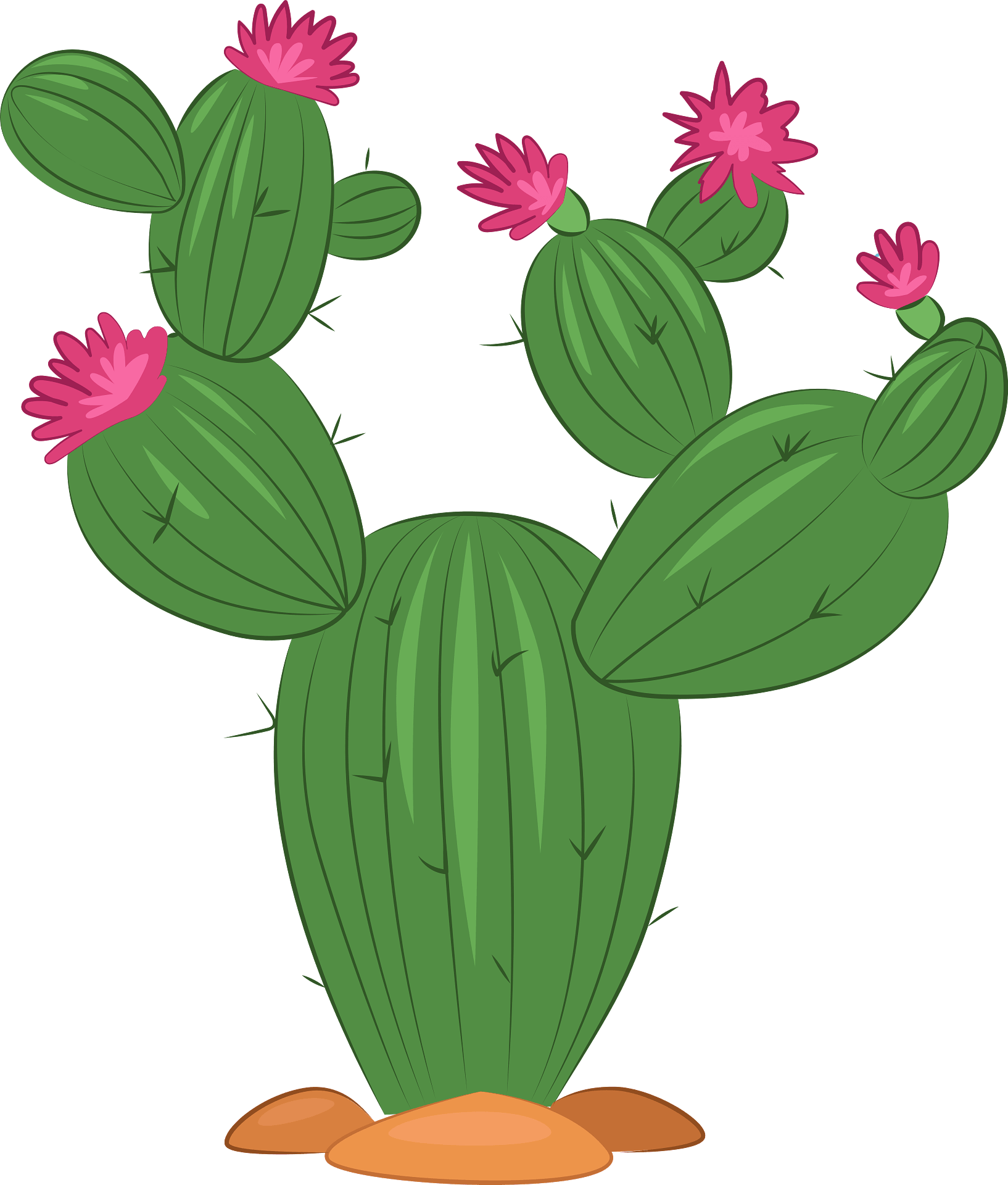 Cactus Cliparts