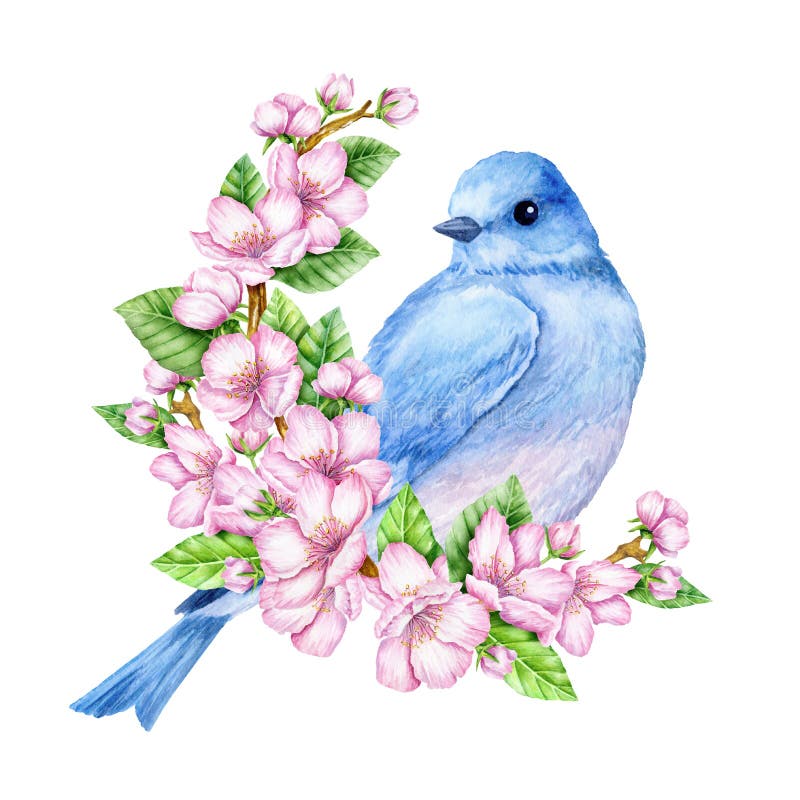 Watercolor painting of a blue bird perched on a branch with pink spring blossoms.
