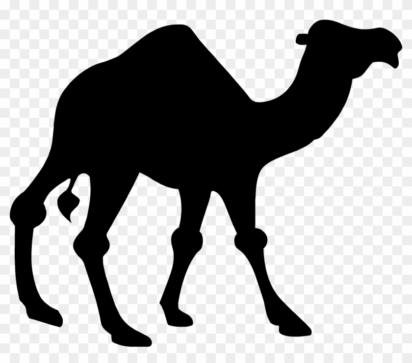 Camel Silhouette - Free Dromedary Clipart PNG