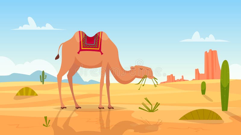 Desert Camel Illustration with Cacti and Rock Formations
