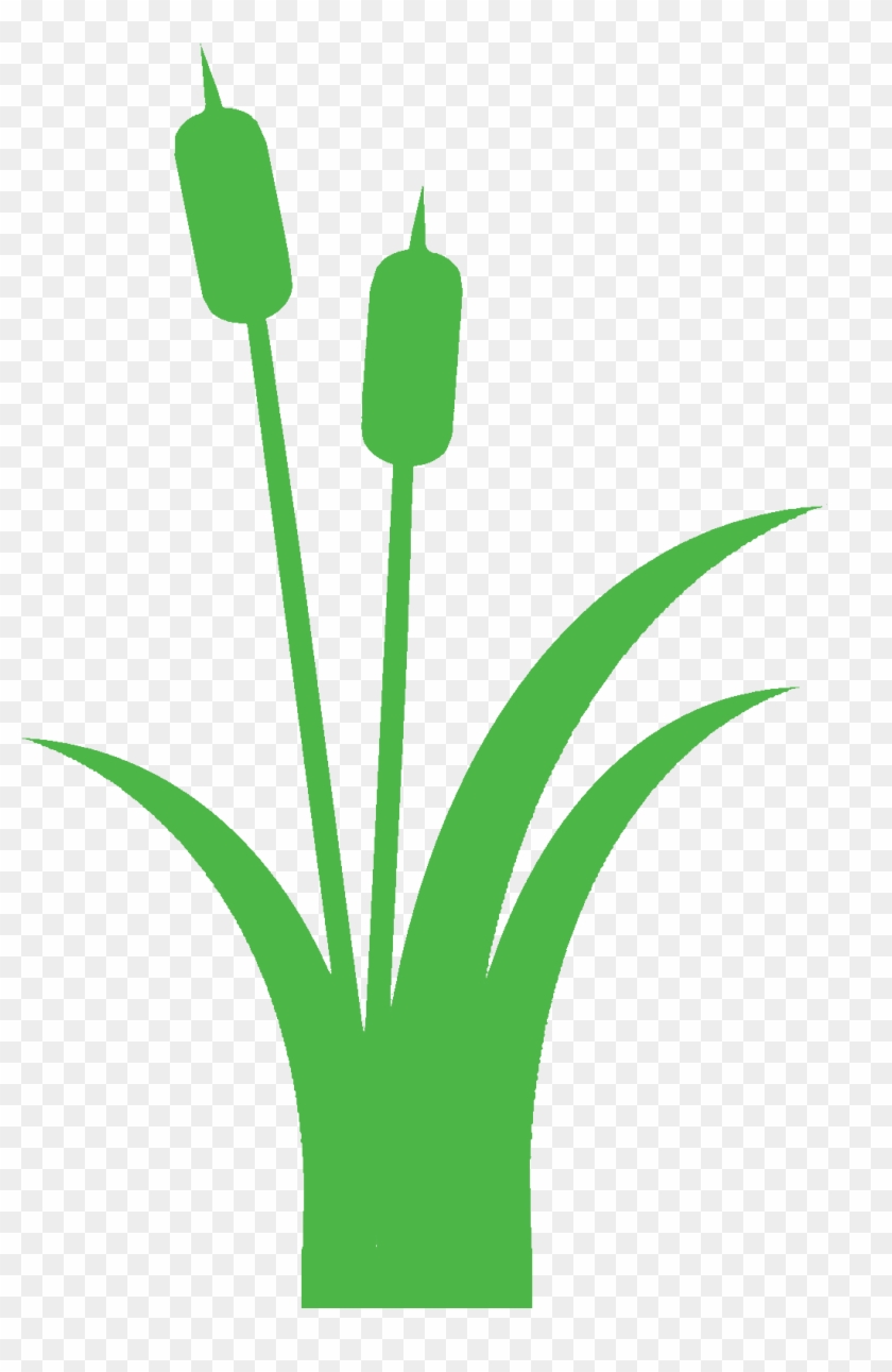 Green cattail plant silhouette with two cylindrical seed heads and long blade leaves