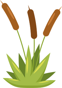 Cattails Clipart