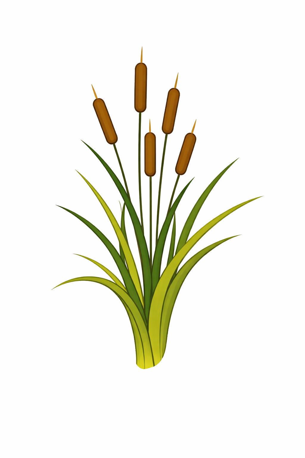 Cattail Plant Vector Illustration | Wetland Flora Graphics