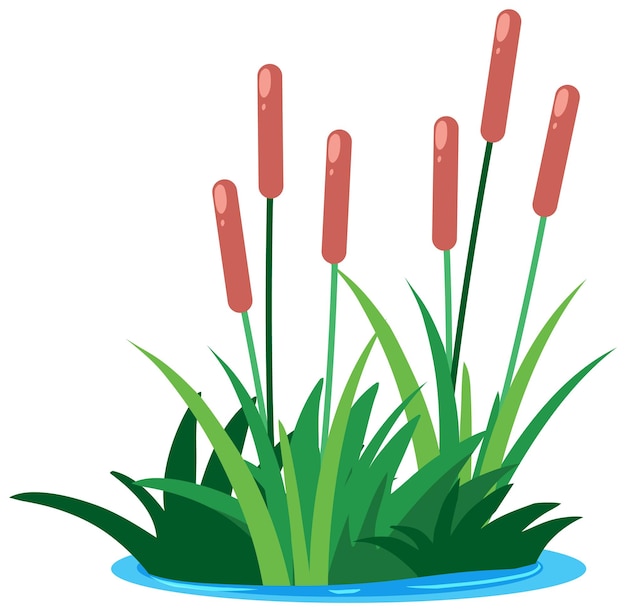 Cattails in Water Vector Illustration | Nature Clipart