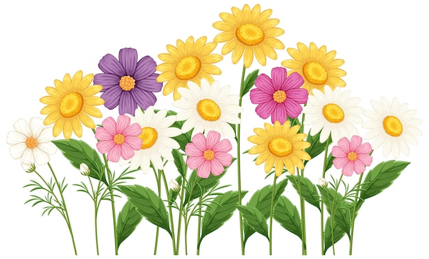 Vibrant Collection of Colorful Daisy Flowers Illustration