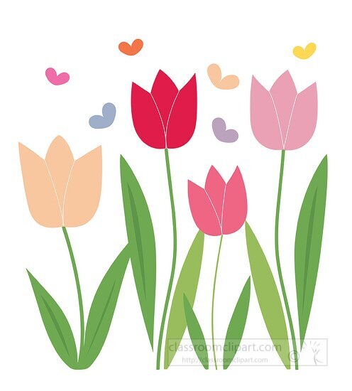 Colorful flat vector illustration of four tulips with floating hearts.