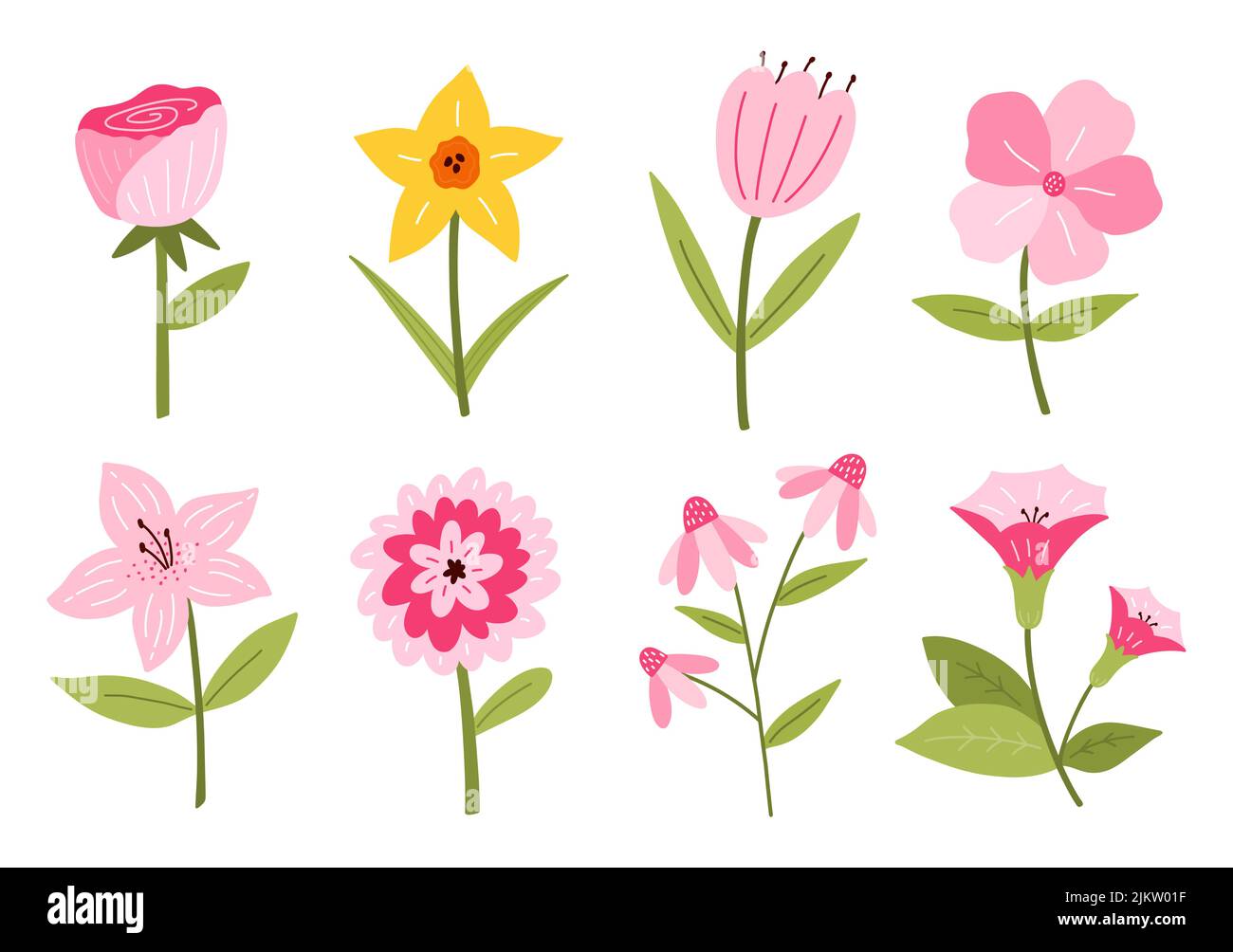 Colorful Spring Flower Vector Set - Pink and Yellow Floral Illustrations