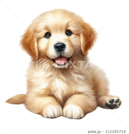Cute golden retriever puppy sitting on white background looking at camera