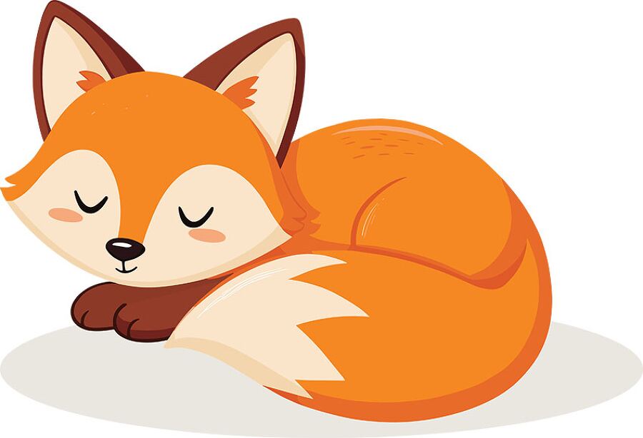 Cute Sleeping Fox Illustration - Peaceful Nap Clipart