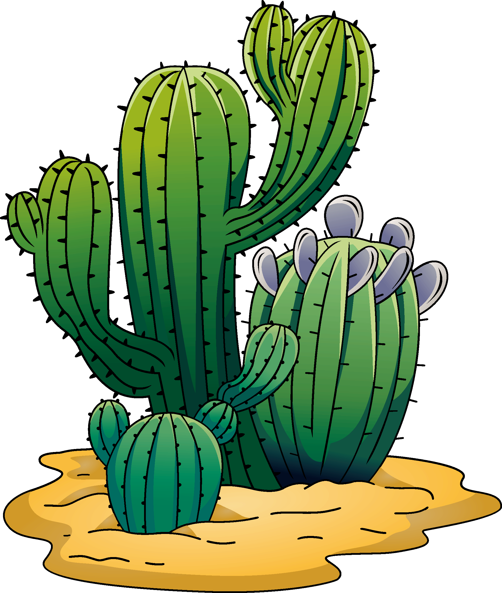 Desert Cactus Illustration - Vector Art of Saguaro and Barrel Cacti