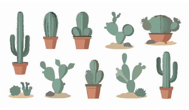 Diverse Cactus Illustration Set: Vector Art Collection for Web & Print