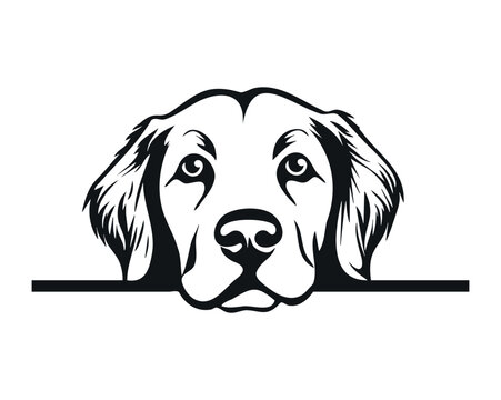 Friendly Dog Peeking Over Line Vector Illustration for Pet Brands