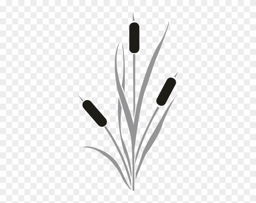 Grayscale Cattail Plant Illustration | Vector Graphic