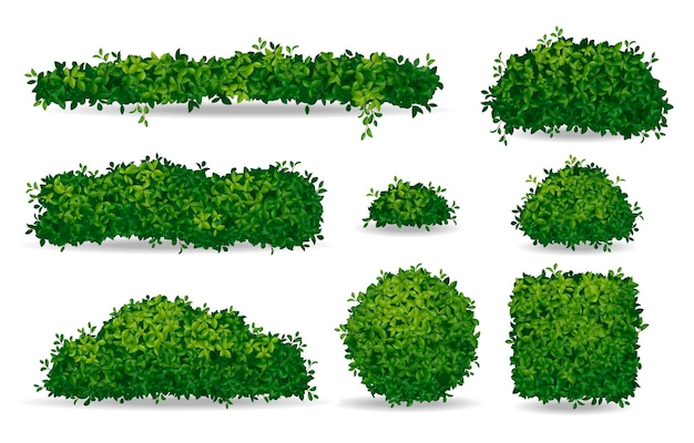 Collection of various green hedge shapes and topiary bushes isolated on white background.