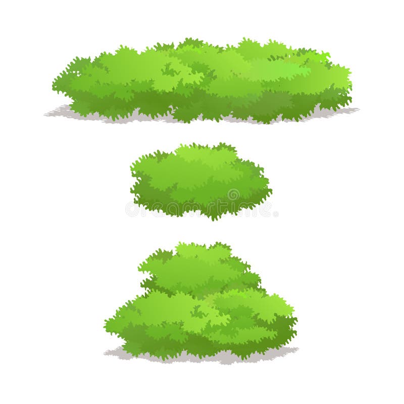 Green Bush Vector Set - Garden Shrub Illustrations