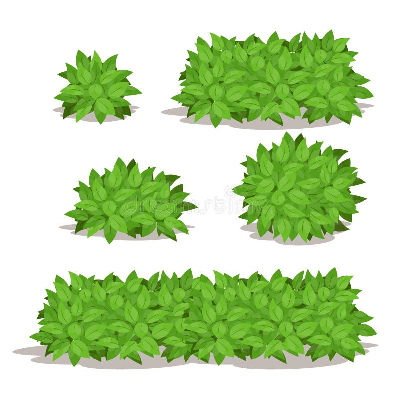 Vector Illustration Set of Green Bushes and Hedges for Design