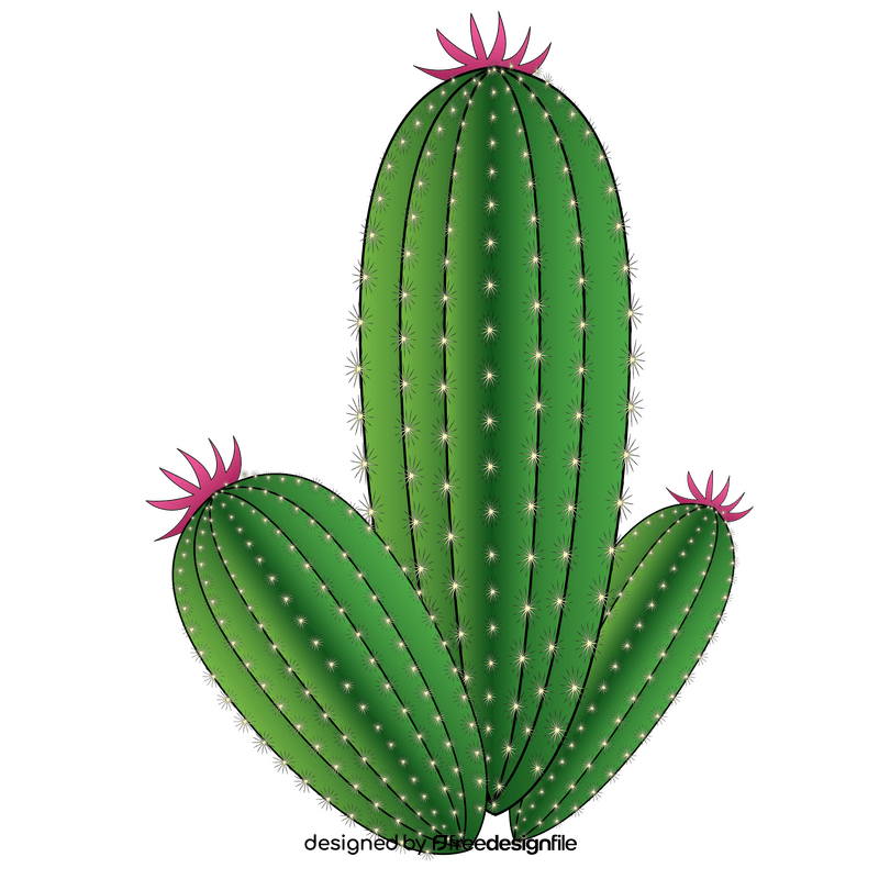 Green Cactus Illustration with Pink Flowers | Vector Art