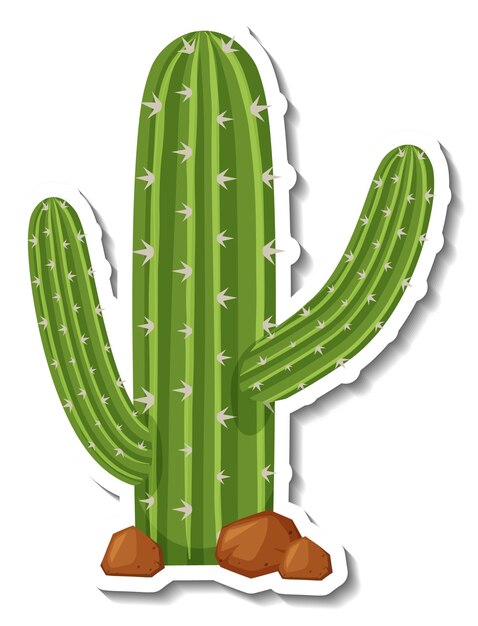 Green cactus illustration with three arms, white spines, and brown rocks at the base, styled like a sticker.