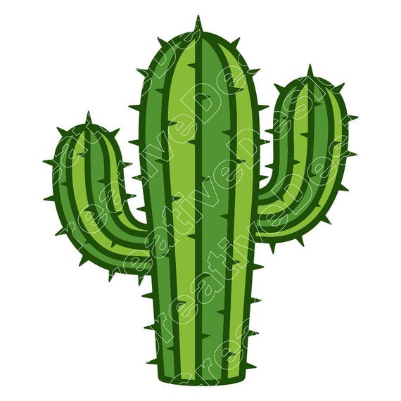 Green Cactus Vector Illustration | Botanical Clip Art