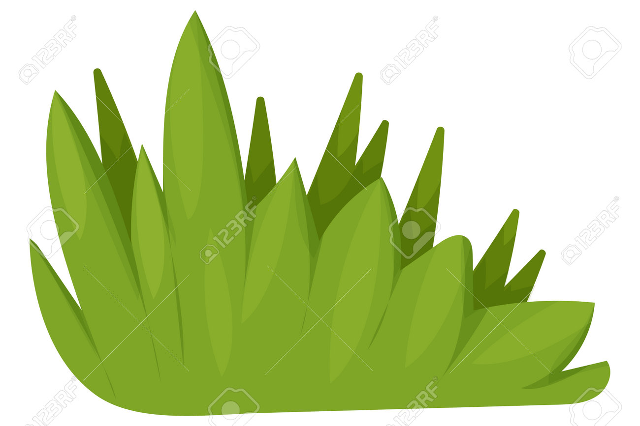 Green Grass Bush Vector Illustration