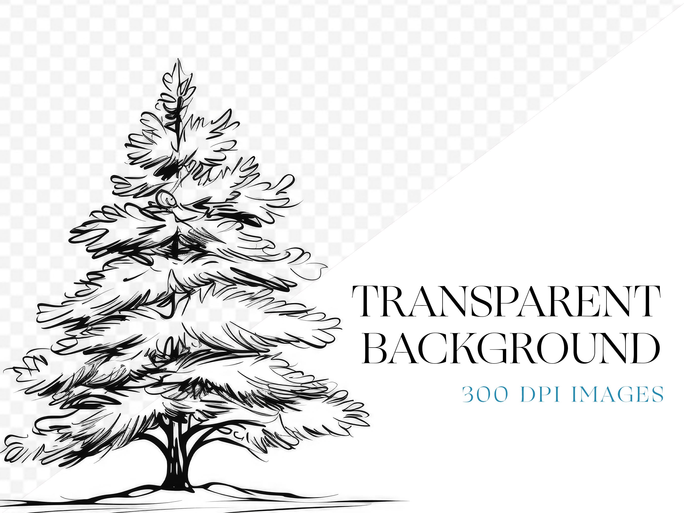 Hand-Drawn Pine Tree Sketch - Transparent Background PNG