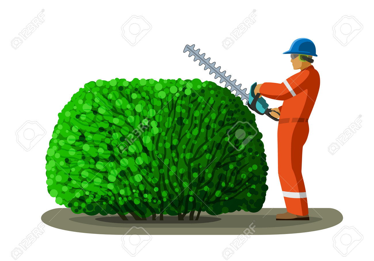 Professional Landscaper Trimming Hedge with Pole Trimmer - Vector Illustration