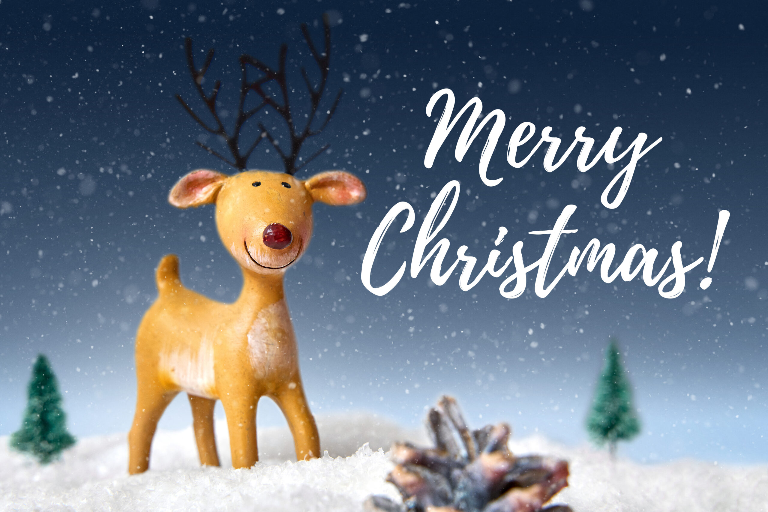 Merry Christmas Greeting Card with Cute Reindeer in Snow