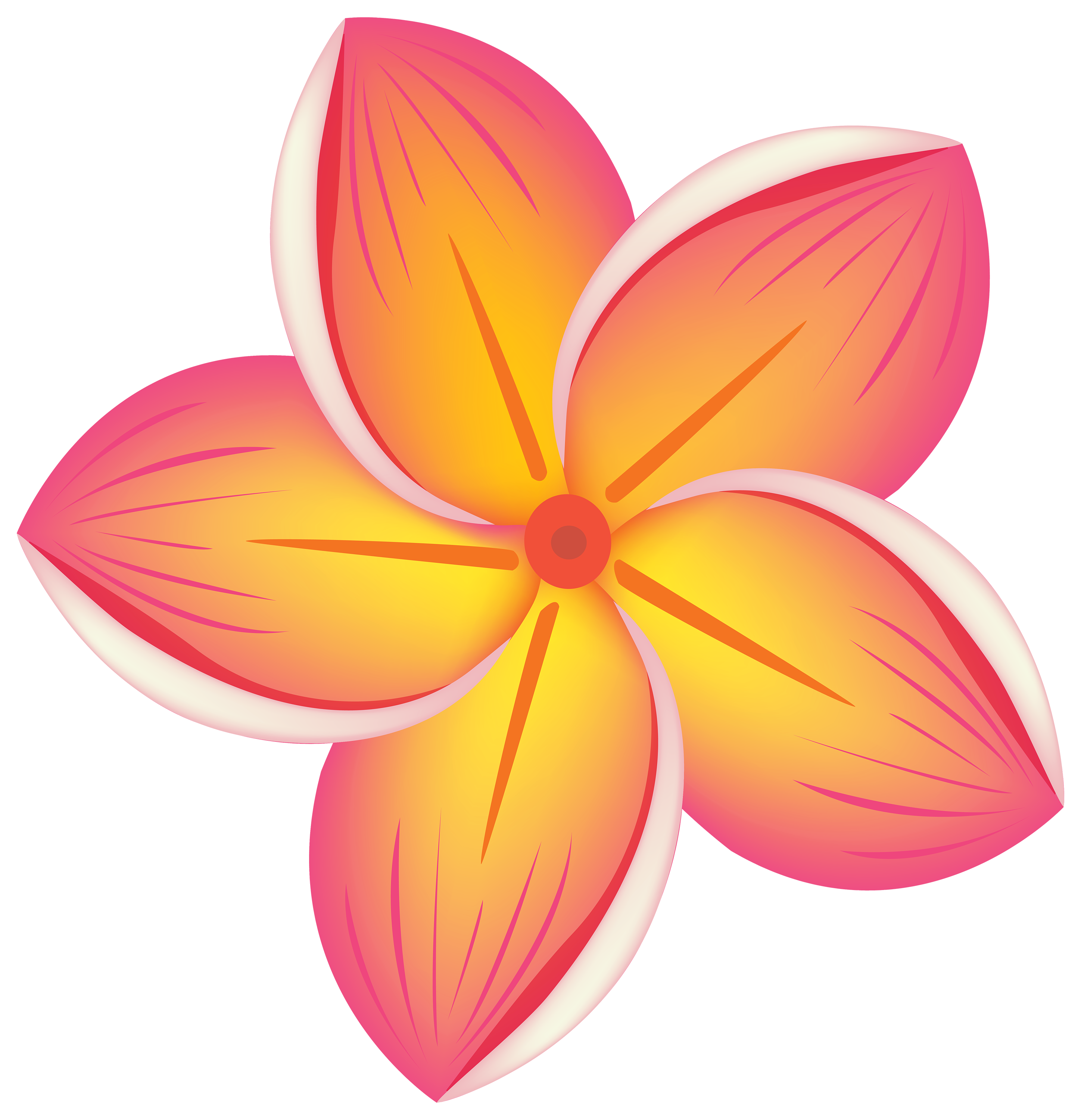 Vibrant Pink and Orange Gradient Flower Illustration | Free Download