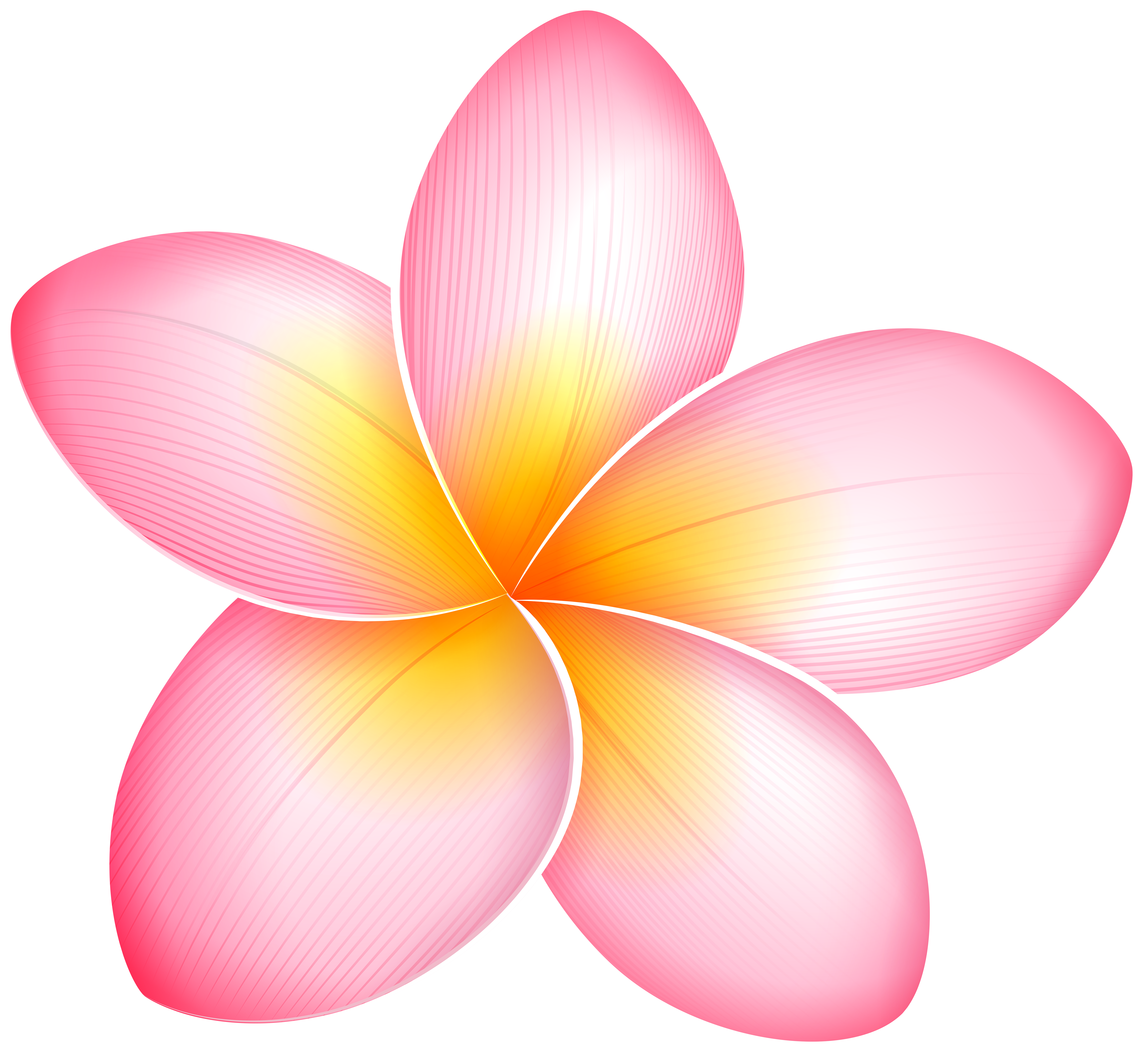 Pink Plumeria Flower Illustration | Tropical Vector Art