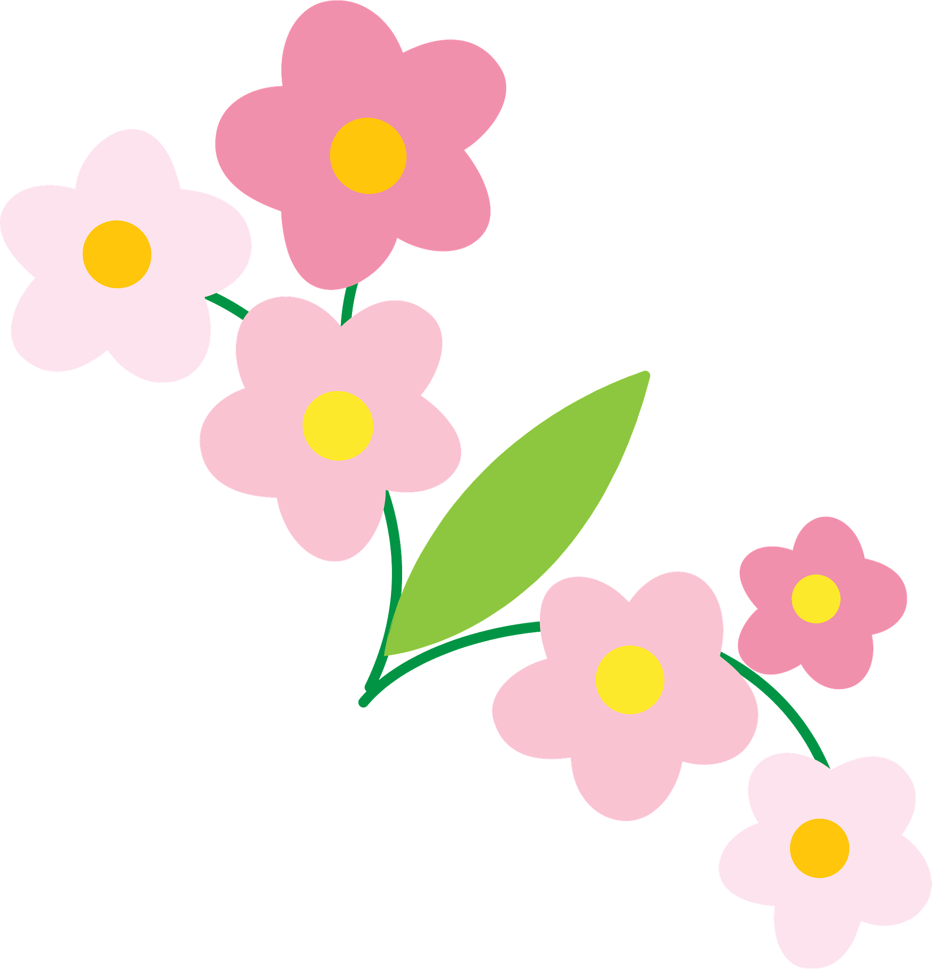 Pink and white flowers with yellow centers and a green leaf on a teal background.