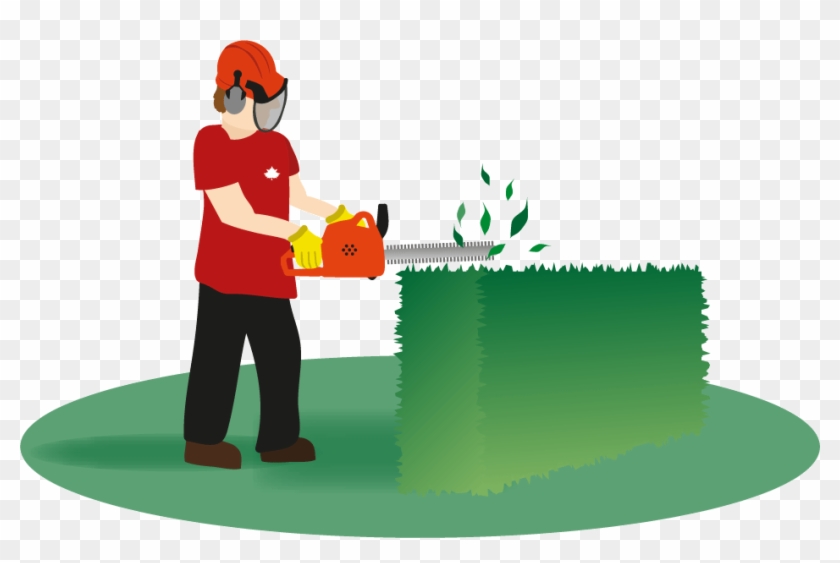 Professional landscaper wearing safety gear trimming a green hedge with an electric hedge trimmer.