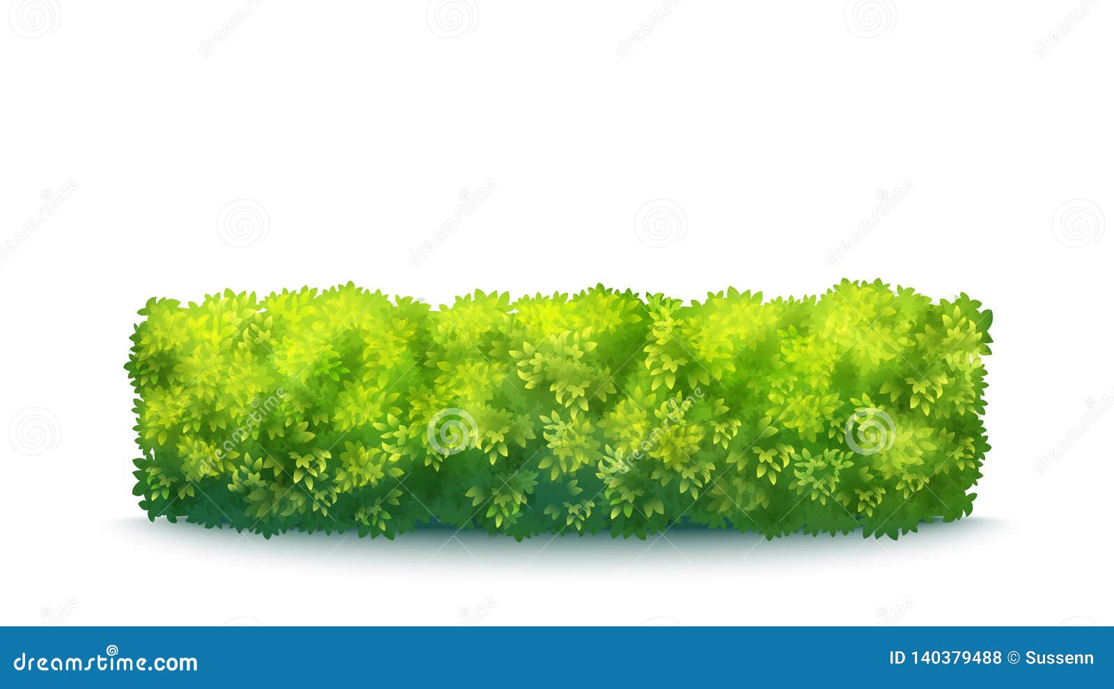 Realistic green hedge bush isolated on white background vector illustration.
