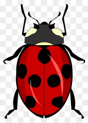 Red ladybug vector illustration with black spots on transparent background