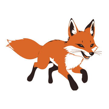 Running Red Fox Vector Illustration | Wildlife Animal Art