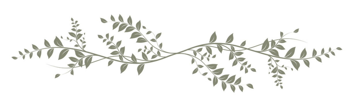 Elegant Sage Green Floral Vine Vector Illustration