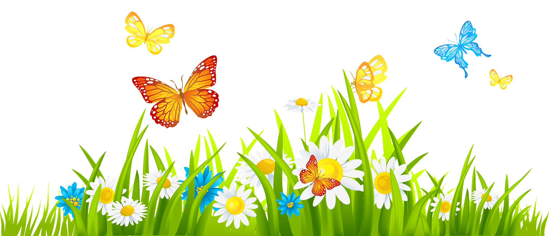 Vibrant vector illustration of a grassy meadow featuring white daisies, blue flowers, and colorful butterflies flying against a grey background.