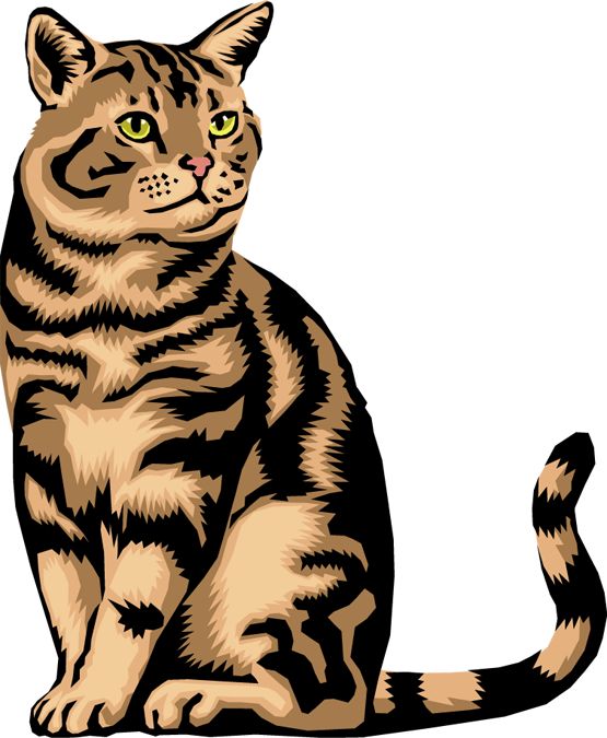 Tabby Cat Vector Illustration | Sitting Domestic Pet Clip Art
